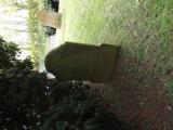 image of grave number 574016